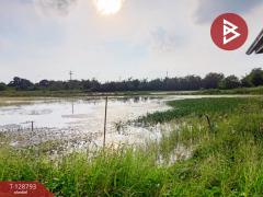 ขายที่ดินติดคลอง เนื้อที่ 7 ไร่ 3 งาน 59.1 ตร.วา ปากพลี นครนายก-202512151200591765774859610.jpg