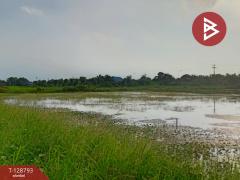 ขายที่ดินติดคลอง เนื้อที่ 7 ไร่ 3 งาน 59.1 ตร.วา ปากพลี นครนายก-202512151201031765774863692.jpg