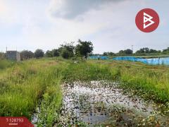 ขายที่ดินติดคลอง เนื้อที่ 7 ไร่ 3 งาน 59.1 ตร.วา ปากพลี นครนายก-202512151201041765774864221.jpg