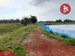 ขายที่ดินติดคลอง เนื้อที่ 7 ไร่ 3 งาน 59.1 ตร.วา ปากพลี นครนายก-202512151201041765774864753.jpg