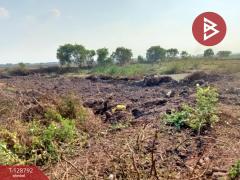 ขายที่ดินติดคลอง เนื้อที่ 15 ไร่ 1 งาน 71 ตร.วา ปากพลี นครนายก-202512151402431765782163005.jpg