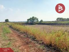 ที่ดินเปล่าทำเลทอง พร้อมสร้าง โกดัง / โรงงาน / โฮมออฟฟิศ-202512151402431765782163611.jpg