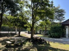 ขายบ้านเดี่ยว 2 ชั้น บ้านกอสะเลียม พร้อมเข้าอยู่ บรรยากาศร่มรื่น ทำเลดี สันกำแพง เชียงใหม่-202512151402581765782178626.jpg