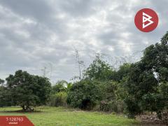 ขายที่ดินสวนผสม เนื้อที่ 3 ไร่ 2 งาน 15 ตารางวา ดอยหล่อ เชียงใหม่-202512151542341765788154016.jpg