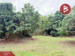 ขายที่ดินสวนผสม เนื้อที่ 3 ไร่ 2 งาน 15 ตารางวา ดอยหล่อ เชียงใหม่-202512151542351765788155090.jpg