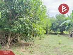 ขายที่ดินสวนผสม เนื้อที่ 3 ไร่ 2 งาน 15 ตารางวา ดอยหล่อ เชียงใหม่-202512151542371765788157055.jpg