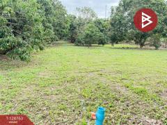 ขายที่ดินสวนผสม เนื้อที่ 3 ไร่ 2 งาน 15 ตารางวา ดอยหล่อ เชียงใหม่-202512151542381765788158719.jpg