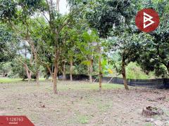 ขายที่ดินสวนผสม เนื้อที่ 3 ไร่ 2 งาน 15 ตารางวา ดอยหล่อ เชียงใหม่-202512151542391765788159871.jpg