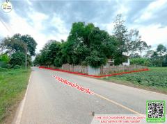  บ้านครึ่งตึกครึ่งไม้(4ห้องนอน 2ห้องน้ำ)ใกล้เทศบาลตำบล ท่าสัก,ตลาด-202512151608551765789735131.jpg