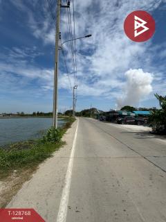 ขายที่ดิน เนื้อที่ 13 ไร่ 2 งาน 80 ตร.วา บางพลี สมุทรปราการ-202512151624311765790671328.jpg