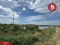 ขายที่ดิน เนื้อที่ 13 ไร่ 2 งาน 80 ตร.วา บางพลี สมุทรปราการ-202512151624321765790672461.jpg