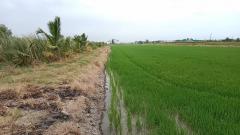 ขายด่วน ที่ดิน 12-2-75 ไร่ พื้นที่สีม่วงตั้งอยู่ที่ ต.คลองเปรง อ.เมือง ฉะเชิงเทรา -202512151643251765791805689.jpg