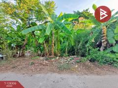 ขายที่ดิน เนื้อที่ 1 งาน 60 ตร.วา ดำเนินสะดวก ราชบุรี