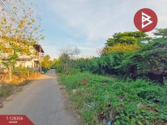 ขายที่ดิน เนื้อที่ 1 งาน 60 ตร.วา ดำเนินสะดวก ราชบุรี-202512151706421765793202689.jpg