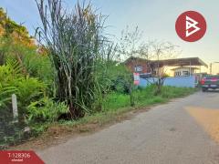 ขายที่ดิน เนื้อที่ 1 งาน 60 ตร.วา ดำเนินสะดวก ราชบุรี-202512151706441765793204340.jpg