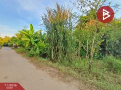 ขายที่ดิน เนื้อที่ 1 งาน 60 ตร.วา ดำเนินสะดวก ราชบุรี-202512151706461765793206480.jpg