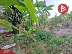 ขายที่ดิน เนื้อที่ 1 งาน 60 ตร.วา ดำเนินสะดวก ราชบุรี-202512151706471765793207021.jpg