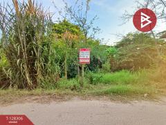 ขายที่ดิน เนื้อที่ 1 งาน 60 ตร.วา ดำเนินสะดวก ราชบุรี-202512151706471765793207553.jpg