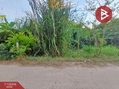 ขายที่ดิน เนื้อที่ 1 งาน 60 ตร.วา ดำเนินสะดวก ราชบุรี-202512151706481765793208101.jpg