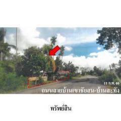 ขายบ้านเดี่ยว ถนน บ้านเขาชัยสน-บ้านสะทัง ตำบล เขาชัยสน อำเภอ เขาชัยสน จังหวัด พัทลุง