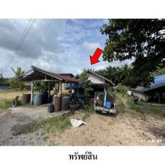 ขายบ้านเดี่ยว ถนน สายควนนอก-ทุ่งบ่อ ตำบล วังใหม่ อำเภอ ป่าบอน จังหวัด พัทลุง