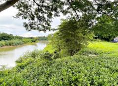 ขายที่ดิน 1 งาน 41 ตารางวา นส.4 โฉนดครุฑแดง ติดแม่น้ำป่าสัก ใจกลางเมืองสระบุรี 