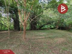 ขายบ้านเดี่ยวพร้อมที่ดิน เนื้อที่ 1 ไร่ 32 ตร.วา เชียงคาน เลย-202512151753211765796001925.jpg