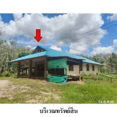 ขายบ้านเดี่ยว ถนน สายป่าบอนเหนือ-บ้านนา (ทล.4122) ตำบล กงหรา อำเภอ กงหรา จังหวัด พัทลุง