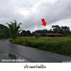 ขายบ้านเดี่ยว ถนน บางตาเทียน ตำบล คึกคัก อำเภอ ตะกั่วป่า จังหวัด พังงา