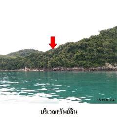 ขายที่ดินติดทะเล  ถนน แหลมปากคลอง ตำบล พรุใน อำเภอ เกาะยาว จังหวัด พังงา