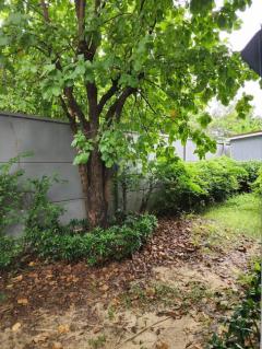 ให้เช่าบ้านเดี่ยว เศรษฐสิริ จรัญ–ปิ่นเกล้า เฟส 1 ไลน์ไอดี ✅ @ibx7531n-202512151940481765802448682.jpg