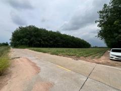 ขายที่ดินผังม่วงลาย  ศรีราชา ชลบุรี สร้างโรงงาน 72 ไร่ แบ่งได้ ติดถนน 6 เมตร 