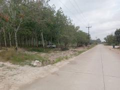 ขายที่ดินระยอง ปลวกแดง 10 ไร่ 9.6ตรว. ใกล้นิคมอุตสาหกรรม WHA อีสเทิร์น ซีบอร์ด 4 เหมาะสำหรับทำ โรงงาน โกดัง คลังสินค้า บ้านจัดสรร