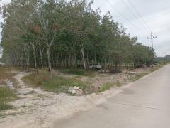 ขายที่ดินระยอง ปลวกแดง 10 ไร่ 9.6ตรว. ใกล้นิคมอุตสาหกรรม WHA อีสเทิร์น ซีบอร์ด 4 เหมาะสำหรับทำ โรงงาน โกดัง คลังสินค้า บ้านจัดสรร-202512152302041765814524981.jpg