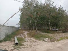 ขายที่ดินระยอง ปลวกแดง 10 ไร่ 9.6ตรว. ใกล้นิคมอุตสาหกรรม WHA อีสเทิร์น ซีบอร์ด 4 เหมาะสำหรับทำ โรงงาน โกดัง คลังสินค้า บ้านจัดสรร-202512152302101765814530226.jpg