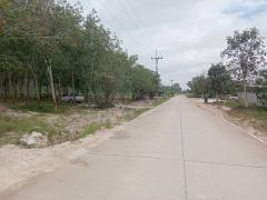 ขายที่ดินระยอง ปลวกแดง 10 ไร่ 9.6ตรว. ใกล้นิคมอุตสาหกรรม WHA อีสเทิร์น ซีบอร์ด 4 เหมาะสำหรับทำ โรงงาน โกดัง คลังสินค้า บ้านจัดสรร-202512152302171765814537239.jpg