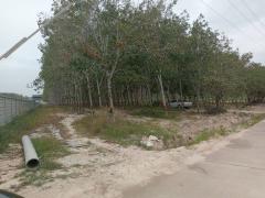 ขายที่ดินระยอง ปลวกแดง 10 ไร่ 9.6ตรว. ใกล้นิคมอุตสาหกรรม WHA อีสเทิร์น ซีบอร์ด 4 เหมาะสำหรับทำ โรงงาน โกดัง คลังสินค้า บ้านจัดสรร-202512152302271765814547696.jpg