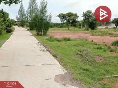 ขายที่ดินพร้อมสิ่งปลูกสร้าง 26 ไร่ 1 งาน 34 ตร.วา ด่านขุนทด นครราชสีมา-202512160001531765818113134.jpg