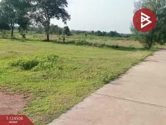 ขายที่ดินพร้อมสิ่งปลูกสร้าง 26 ไร่ 1 งาน 34 ตร.วา ด่านขุนทด นครราชสีมา-202512160001531765818113678.jpg