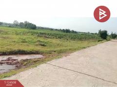 ขายที่ดินพร้อมสิ่งปลูกสร้าง 26 ไร่ 1 งาน 34 ตร.วา ด่านขุนทด นครราชสีมา-202512160001541765818114225.jpg