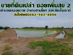 ขายที่ดินเปล่า ซอยเพิ่มสุข 2 ตำบลคลองควาย อำเภอสามโคก จังหวัดปทุมธานี