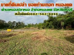 ขายที่ดินเปล่า ซอยท่ามะกอก หนองแค สระบุรี