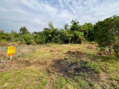 ขายที่ดินเปล่า ซอยท่ามะกอก หนองแค สระบุรี-202512160945361765853136624.jpg