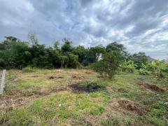 ขายที่ดินเปล่า ซอยท่ามะกอก หนองแค สระบุรี-202512160945411765853141017.jpg