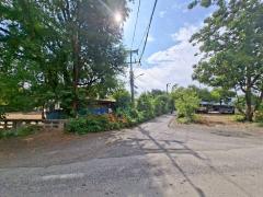 ขายที่ดินเปล่า ซอยท่ามะกอก หนองแค สระบุรี-202512160945421765853142485.jpg