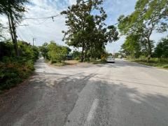 ขายที่ดินเปล่า ซอยท่ามะกอก หนองแค สระบุรี-202512160945431765853143213.jpg