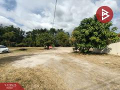  ขายที่ดิน เนื้อที่ 77 ตารางวา พานทอง ชลบุรี-202512161114271765858467428.jpg