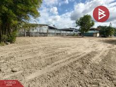  ขายที่ดิน เนื้อที่ 77 ตารางวา พานทอง ชลบุรี-202512161114291765858469035.jpg