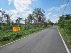 ขายที่ดินเปล่า ถนนเทศบาล6 ซอย8 ทับกวาง แก่งคอย สระบุรี-202512161131551765859515758.jpg