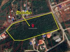 ขายที่ดินเปล่า ถนนเทศบาล6 ซอย8 ทับกวาง แก่งคอย สระบุรี-202512161131571765859517035.jpg